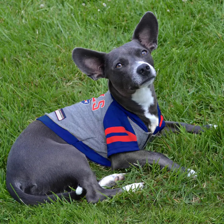 buffalo bills dog hoodie