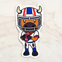 Load image into Gallery viewer, Buffalo Magnets
