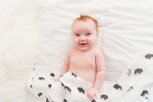 Load image into Gallery viewer, Buffalo Swaddle Blanket

