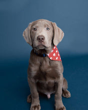 Load image into Gallery viewer, Buffalo Dog Bandana
